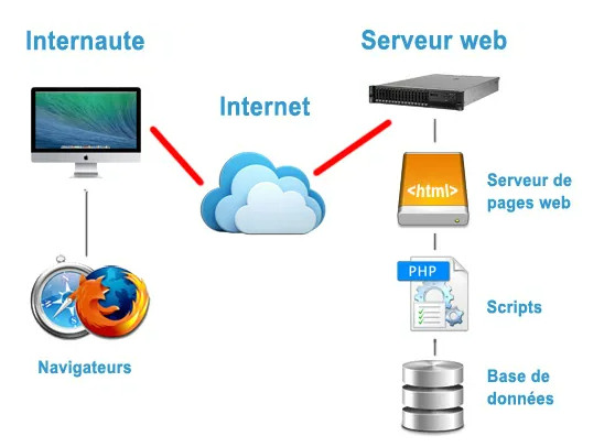 À propos de Digiforce Solutions